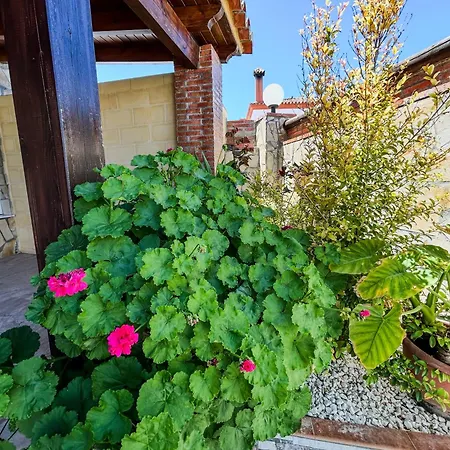 Landsted Rosal- Solo Familias Y Parejas Conil De La Frontera